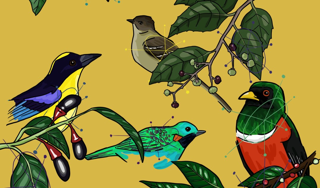 Multivariate analyses of interaction networks